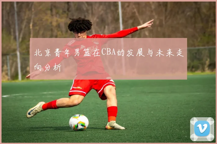 北京青年男篮在CBA的发展与未来走向分析