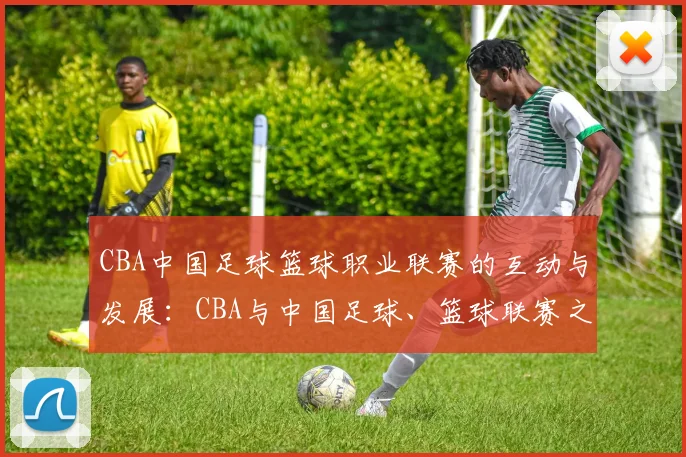 CBA中国足球篮球职业联赛的互动与发展：CBA与中国足球、篮球联赛之间的互动
