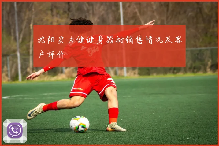 沈阳卖力健健身器材销售情况及客户评价