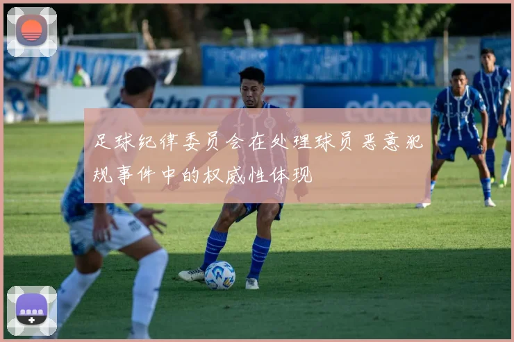 足球纪律委员会在处理球员恶意犯规事件中的权威性体现