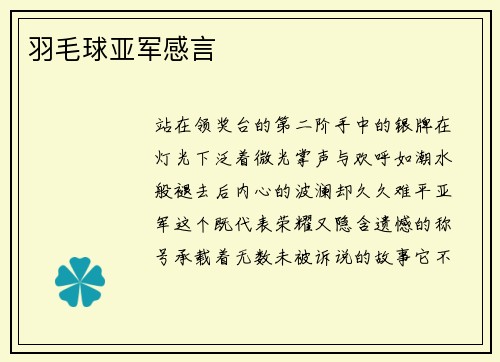 羽毛球亚军感言